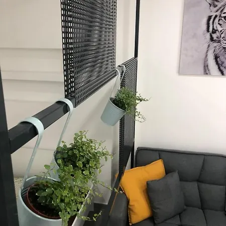 Apartament London